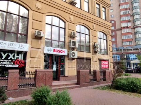 комерційна за адресою Золотоустівська вул., 27