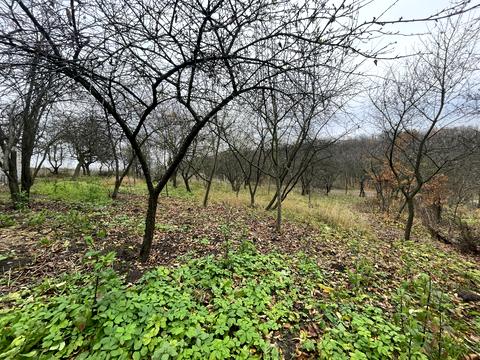 будинок за адресою Бандери