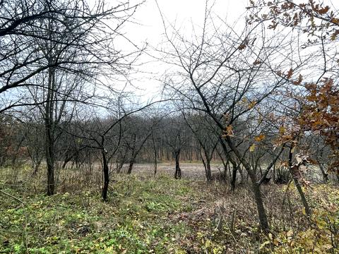 будинок за адресою Бандери