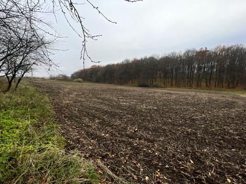 будинок за адресою Бандери