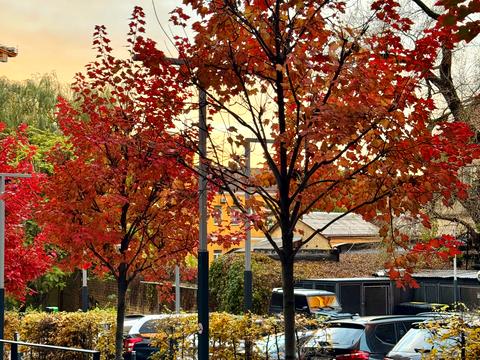 квартира за адресою Антоновича вул. (Горького), 74