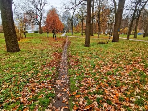квартира по адресу Ореста Васкула ул., 44/50