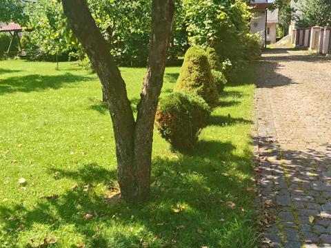 дом по адресу Леси Украинки ул.