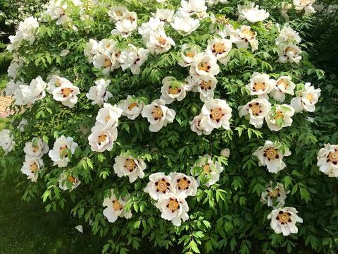 будинок за адресою Залужна вул.