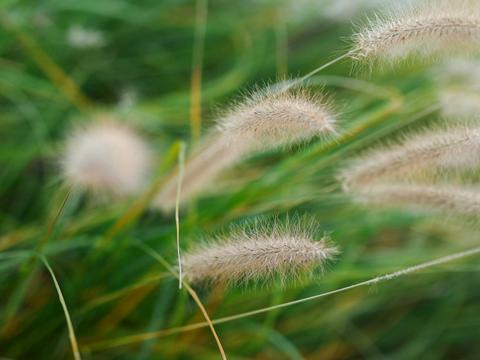 будинок за адресою с. Розівка, Концівська вул.