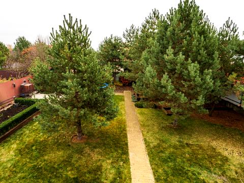 дом по адресу Киевская