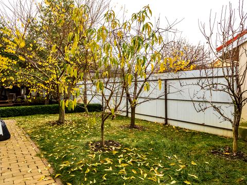 дом по адресу Киевская