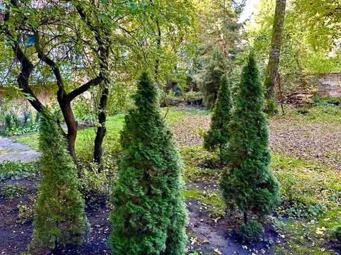 квартира за адресою Ґрюнвальдська вул., 8