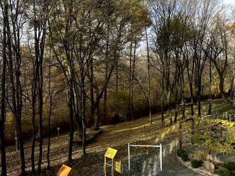 квартира по адресу Пасечная ул., 84а