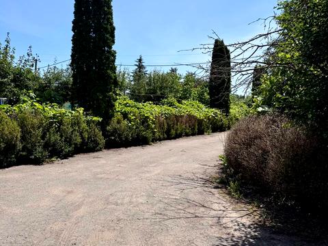 коммерческая по адресу Горобцьова, 1