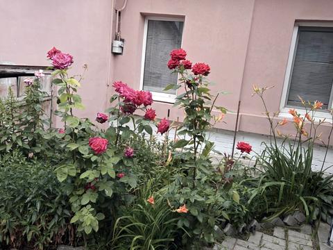 квартира за адресою Миколи Сумцова вул. (Менжинського), 5