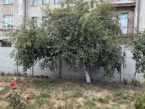 квартира за адресою Миколи Сумцова вул. (Менжинського), 5