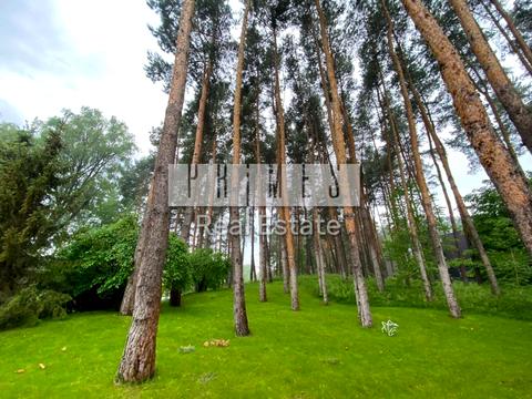 будинок за адресою центральная