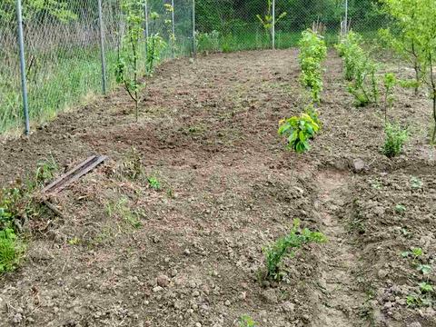 ділянка за адресою 