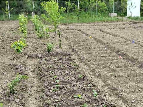 ділянка за адресою 