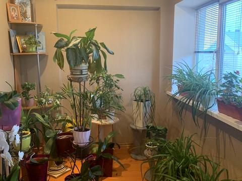 дом по адресу Художника Ярошенка, 77