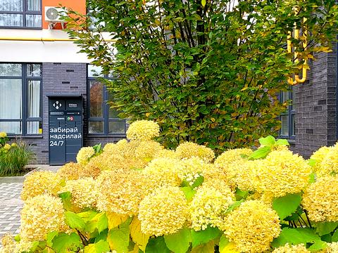 квартира по адресу Павленка ул., 56