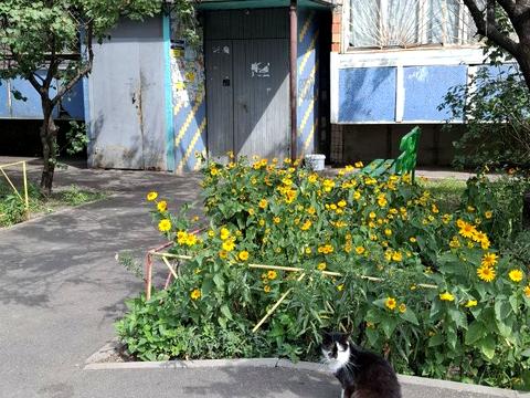 квартира за адресою Мілютенка вул., 11-А