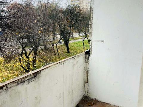 квартира по адресу Генерала Безручка просп. (Олеко Дундича), 20