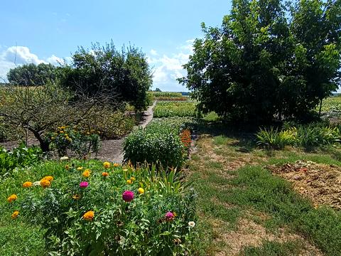 будинок за адресою Шевченка