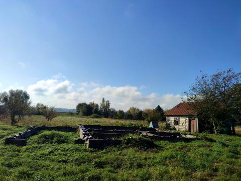 ділянка за адресою с. Максимовичі, Зелена