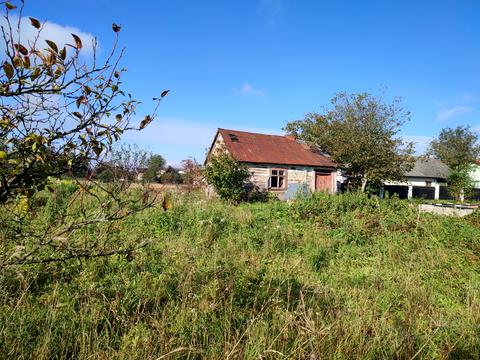 ділянка за адресою с. Максимовичі, Зелена