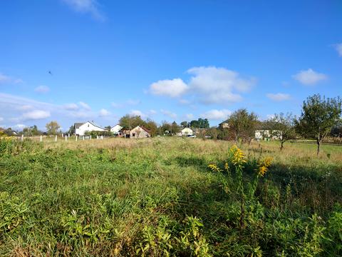 ділянка за адресою с. Максимовичі, Зелена