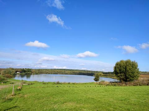 ділянка за адресою с. Максимовичі, Зелена
