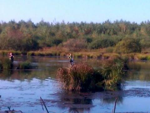 ділянка за адресою с. Максимовичі, Зелена
