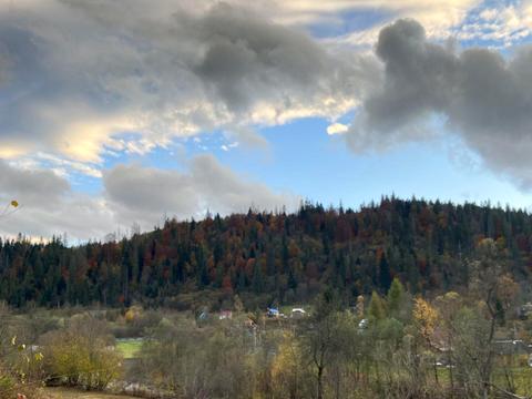 ділянка за адресою с. Микуличин, 