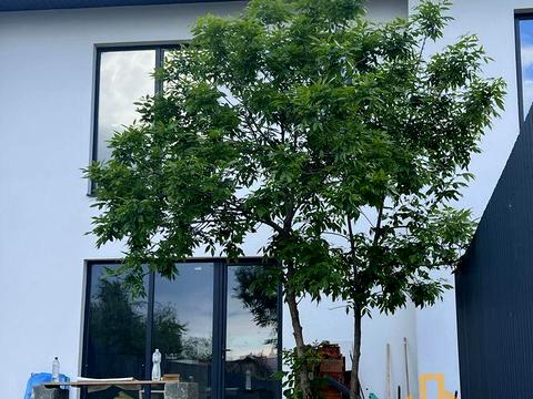 дом по адресу Весни