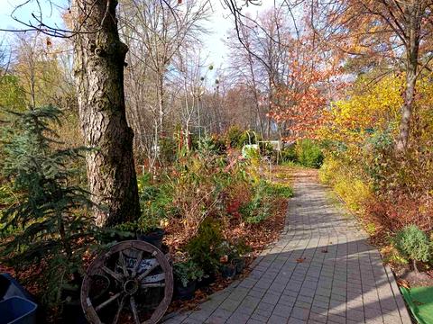 дом по адресу Озерна, 3