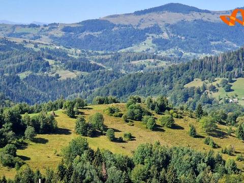 ділянка за адресою с. Яворів, 