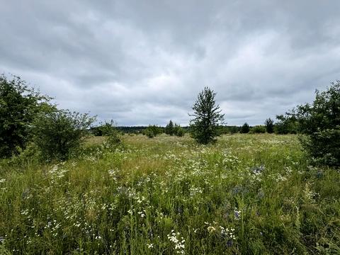 участок по адресу Квіткова