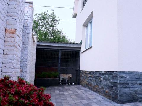 будинок за адресою Джерельна