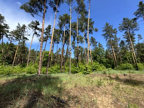 ділянка за адресою смт. Козин, Анатолія Солов'яненка вул.