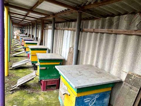 дом по адресу Першотравнева, 62