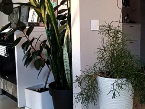 квартира по адресу Университетская ул., 1-В