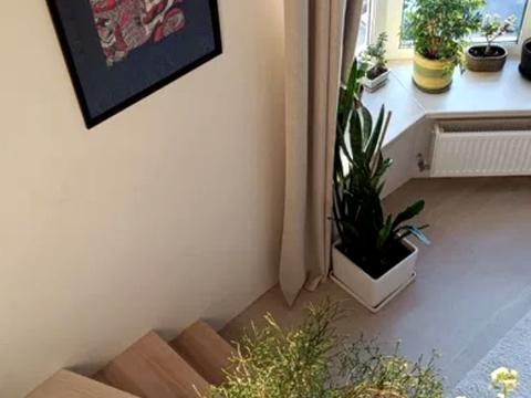 квартира по адресу Университетская ул., 1-В