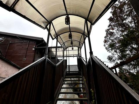 дом по адресу Олега Ольжича ул. (Докучаева)