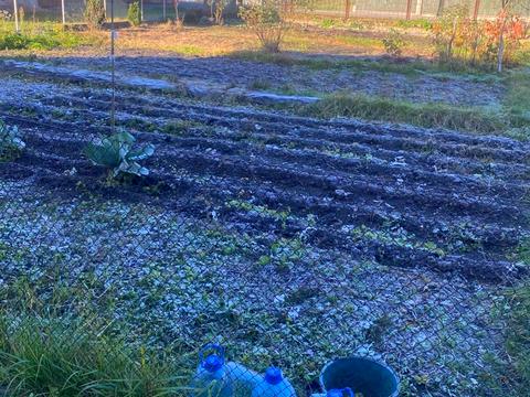 квартира за адресою Данила Галицького вул., 95