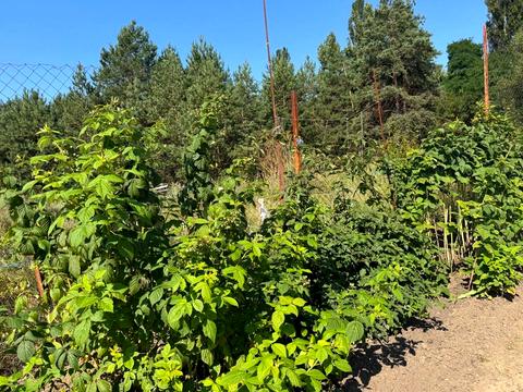 дом по адресу Карпилівська