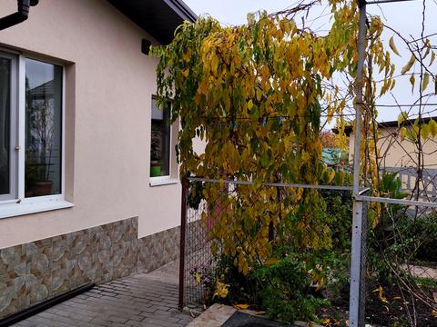 дом по адресу Мукачевская ул.