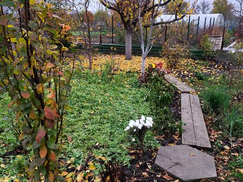 дом по адресу Мукачевская ул.