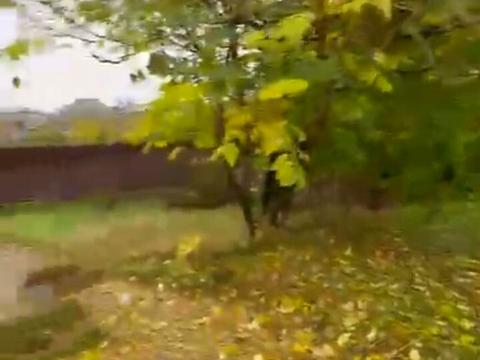 будинок за адресою Одеса, Мічуріна вул., 19