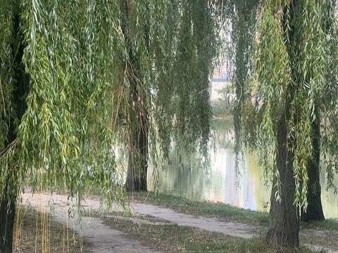 квартира за адресою смт. Чабани, Юності вул., 4