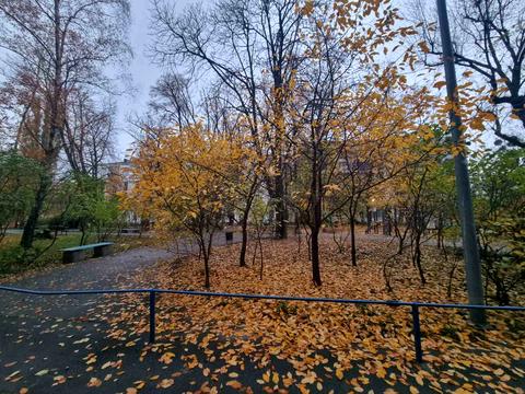 квартира по адресу Петра Болбочана ул. (Командарма Каменєва), 4-А