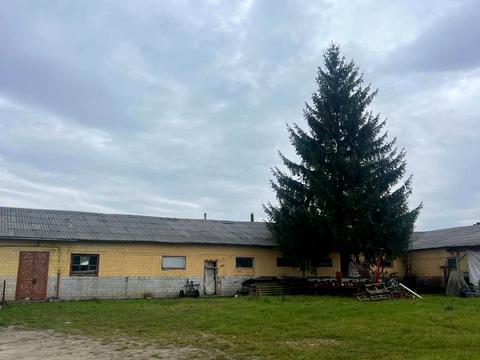 комерційна за адресою Весела вул., 38