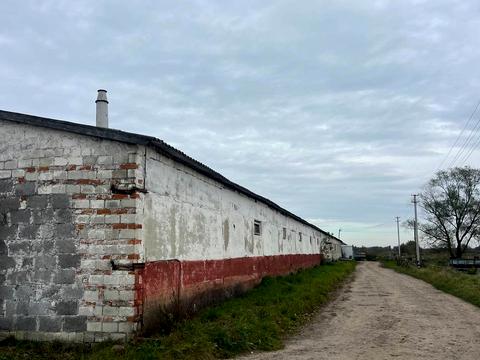 комерційна за адресою Весела вул., 38