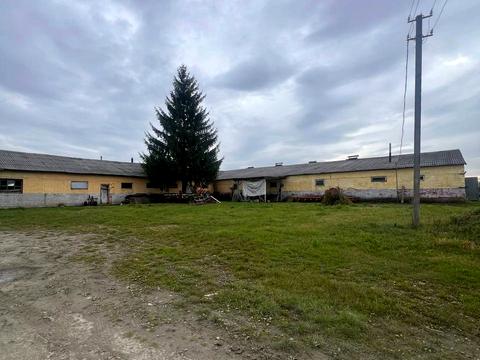 комерційна за адресою Весела вул., 38